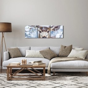 Obraz - Jelenec himalájsky (s hodinami) (90x30 cm)