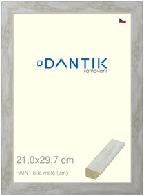 DANTIK rám na obraz 21x29,7 | PAINT bílá malá (Sklo Čiré)