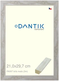 DANTIK rám na obraz 21x29,7 | PAINT bílá malá (Sklo Čiré)