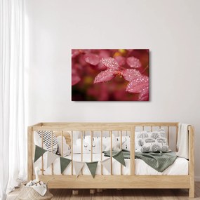 Obraz - Makro snímka lístka (90x60 cm)