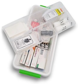 Lekárnička, úložný box na lieky s vnoreným organizérom, 2v1, s rúčkou, antibakteriálna, 8l