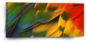 Sablio Obraz Farebné perie - 110x50 cm