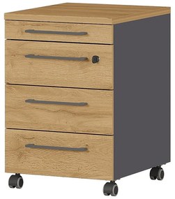 Antracitovosivá prírodná skrinka v dekore duba 42x61 cm Agenda - Germania