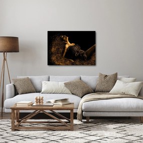 Obraz - Žena zo zlata (70x50 cm)