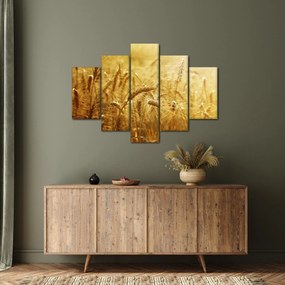 Obraz - Klasy obilia (150x105 cm)