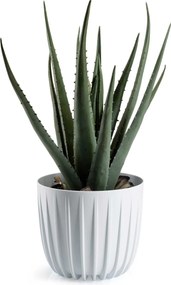 Květináč STRIPPED 17,8x15,6 cm bílý