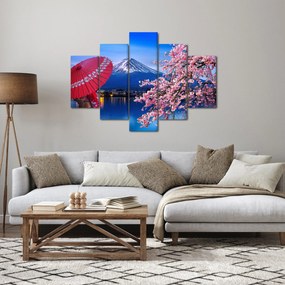 Obraz - Výhľad na vrchol, Japonsko (150x105 cm)