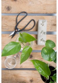 Sklenená váza (výška 12 cm) Natural History – Esschert Design