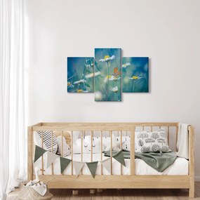 Obraz - Motýľ na sedmokráske (90x60 cm)