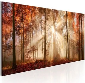 Obraz - Autumnal Dawn Veľkosť: 120x40, Verzia: Standard