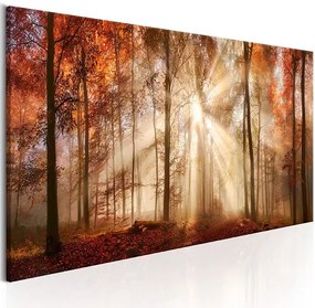 Obraz - Autumnal Dawn Veľkosť: 150x50, Verzia: Na talianskom plátne