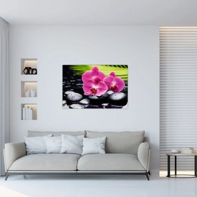 Obraz - Ružové orchidey s palmovým listom (90x60 cm)