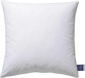 XXXLutz VANKÚŠ POD HLAVU, 40/40 cm Billerbeck - Prikrývky & vankúše - 003279023201