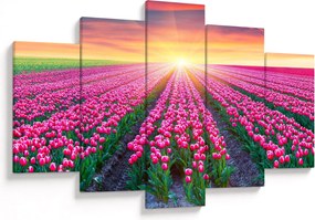 Obraz poľa tulipánov so slnkom (150x105 cm)