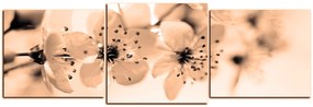 Obraz na plátne - Malé kvety na vetve - panoráma 5173FD (150x50 cm)