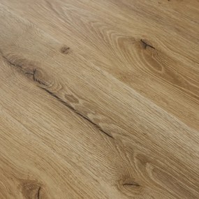 Egibi, Vinylová podlaha lepená Canadian Design Canmore DRY BACK, 914,4x152,4 mm