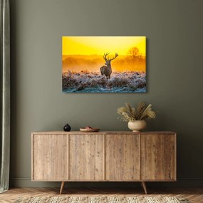 Obraz - Jeleň pri východe slnka (90x60 cm)