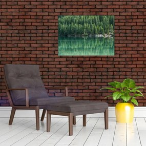 Obraz - Ihličnany pri jazere (70x50 cm)
