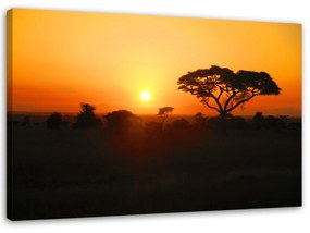 Gario Obraz na plátne Africký západ slnka Rozmery: 60 x 40 cm