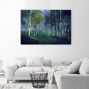 Gario Obraz na plátne Brezy v hmle Rozmery: 60 x 40 cm