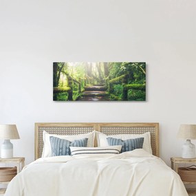 Obraz - drevené schody v lese (120x50 cm)