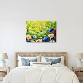 Obraz rozkvitnutej lúky, olejomaľba (70x50 cm)