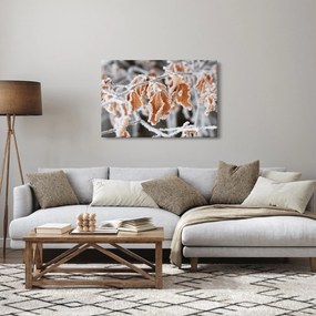 Obraz - Zamrznuté listy (90x60 cm)