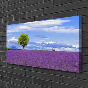 Obraz Canvas Pole levanduľa strom príroda 120x60 cm