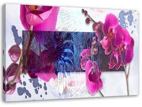 Obraz na plátně Orchidejová abstrakce růžová - 100x70 cm