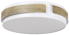 Rabalux 5646 - LED Stmievateľné stropné svietidlo SALMA LED/24W/230V