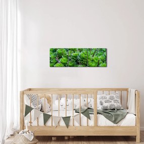 Obraz sukulentov (s hodinami) (90x30 cm)