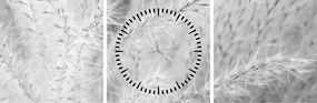 Obraz - Pampas grass N⁰1 (s hodinami) (90x30 cm)