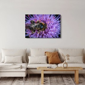 Obraz včely na kvetine (90x60 cm)