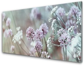 Skleneny obraz Poľné kvety lúka príroda 125x50 cm