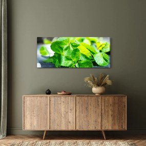 Obraz mäty (120x50 cm)