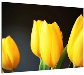 Sklenený obraz tulipánov (70x50 cm)