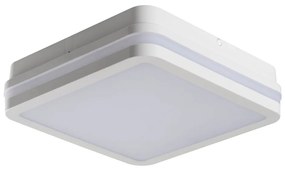 KANLUX Sapho, BENO stropné LED svietidlo 260x55x260mm, 24W, biela, 33342