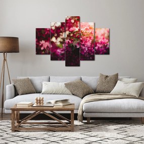 Obraz kvetov rozkvitnutého kríku (150x105 cm)