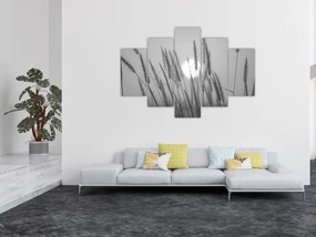 Obraz - Lúka pri západe slnka (150x105 cm)