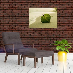 Obraz listu v piesku (70x50 cm)