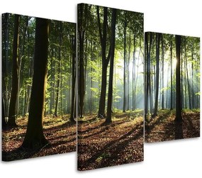 Obraz na plátně třídílný Pohled na zelenou lesní přírodu - 150x100 cm