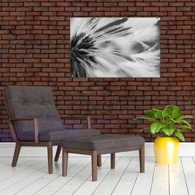 Obraz - Makro, čiernobiela (90x60 cm)