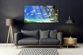 Obraz na akrylátovom skle Palma strom more krajina 120x60 cm