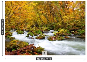 Fototapeta Vliesová Rieka v japonsku 250x104 cm