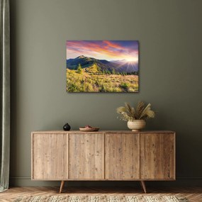 Obraz - Lesná krajina (70x50 cm)