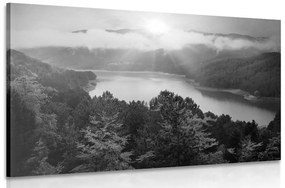 Obraz rieka uprostred lesa v čiernobielom prevedení - 60x40