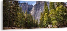 Obraz - Pod Yosemite skalou (120x50 cm)
