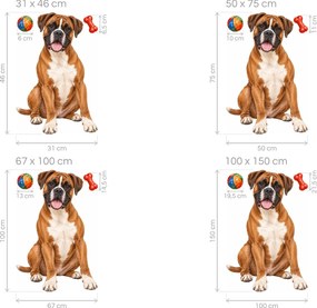 Boxer s loptičkou a kosťou akvarelové textilné nálepky na stenu pre milovníkov boxerov arch 31 x 46 cm