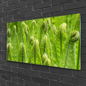 Skleneny obraz Rastlina príroda 120x60 cm