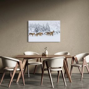 Obraz - Vlci v horách (90x60 cm)
